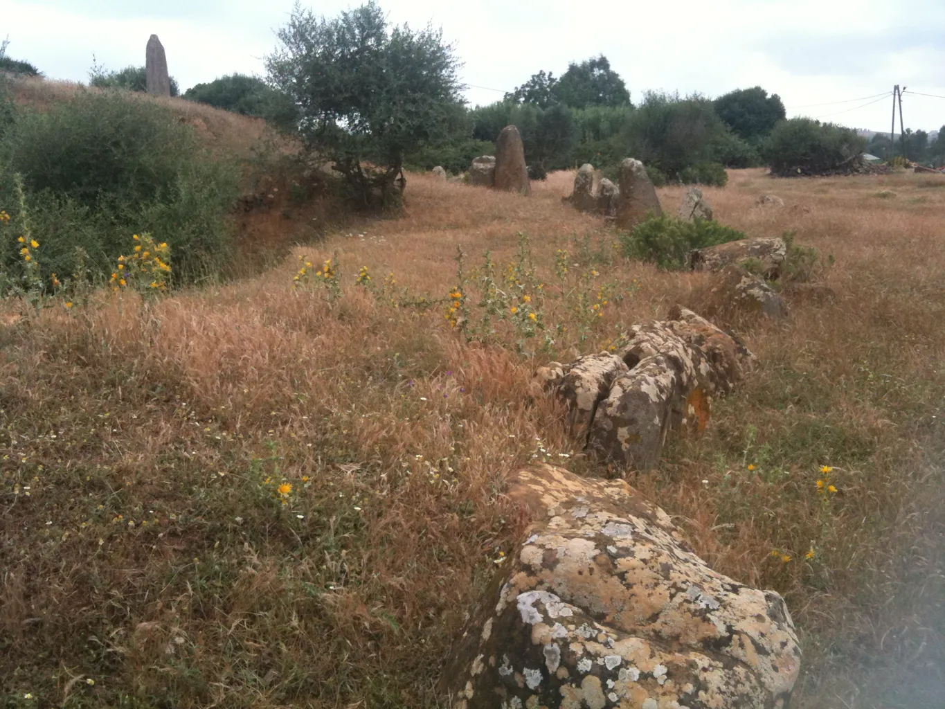 Cromlech of M zora 1